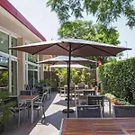 Ibis Cornella