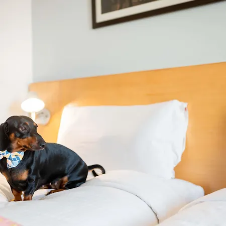 Hotel Ibis Cornella Cornellà de Llobregat