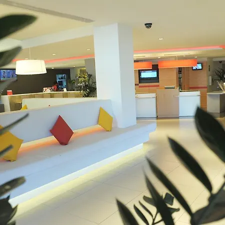 Ibis Cornella